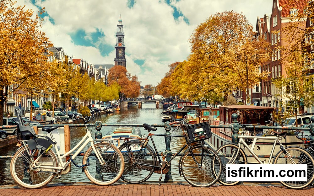 hollanda iş ilanları ve başvuru formu