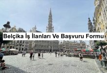 Belçika İş ilanları ve Başvuru Formu